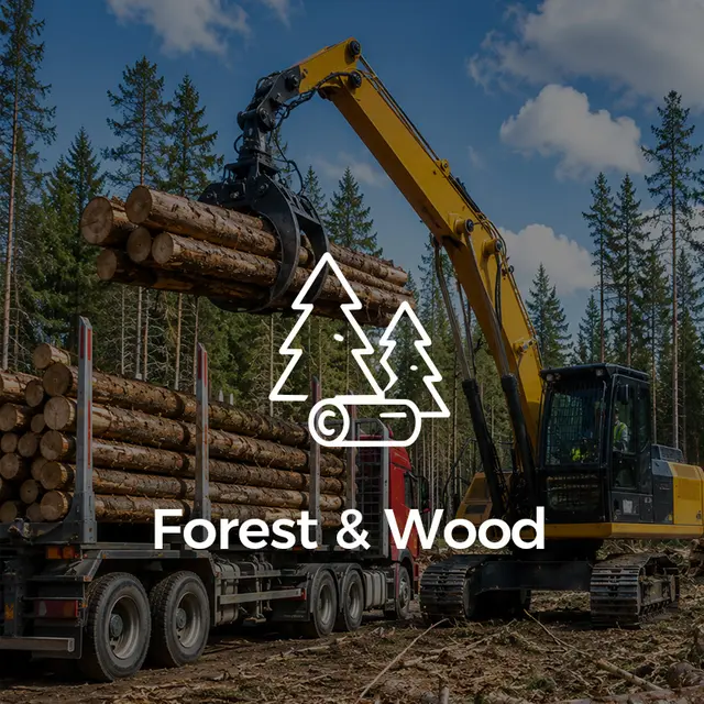 Forest & Wood 640-640 (9)